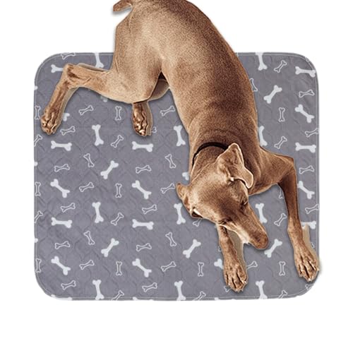 Almohadillas lavables – a prueba de fugas | Dog Cushion - Tapis D'Apprentissage Lavable | Empapadores Antideslizantes para Perros | Tappetini Igienici Lavabili | 2026 Pro | Coche | Viaje | Senior |