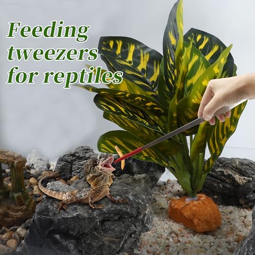 Image of 14.96 inch l Aquarium Straight Feeding Tweezer for Feeding with Red Rubber Tip