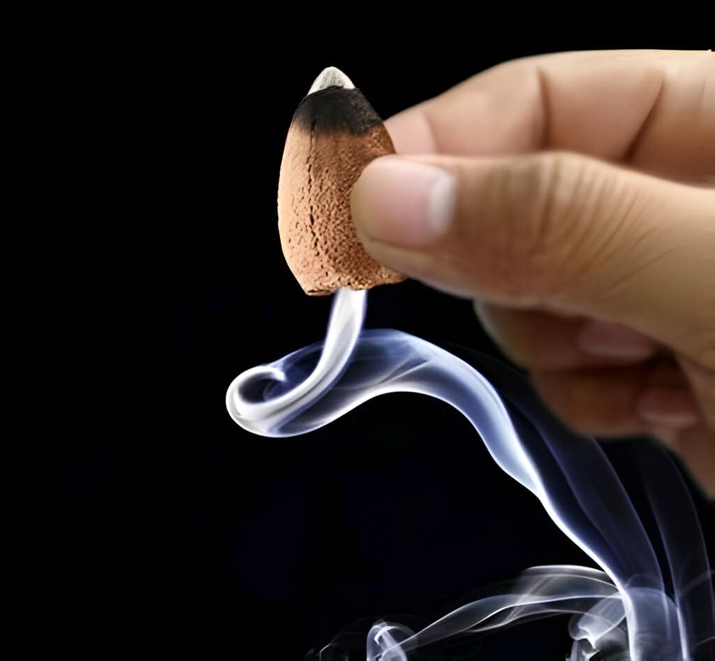 generic Back Flow Incense Cones (100 Pcs) Scented Backflow Cones for Smoke Fountain/Original Backflow Dhoop Cones, Natural Fragrance Dhoop-picture-19