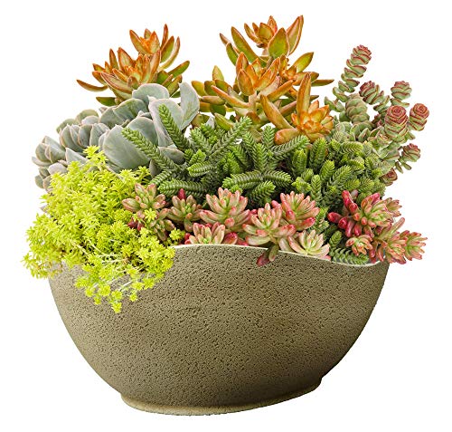 Classic Home and Garden Arc Pot 12" Desert - Image 2