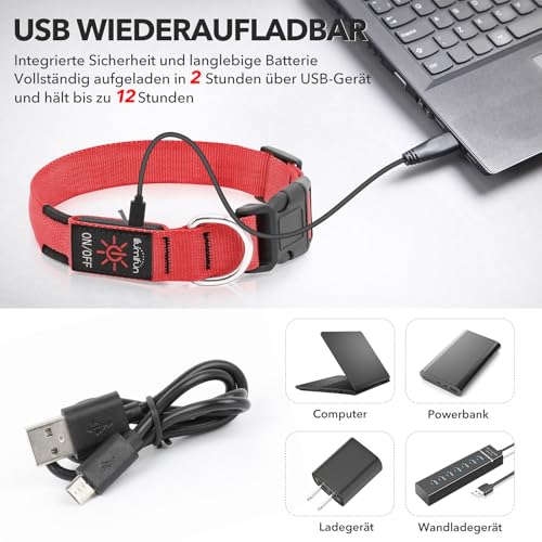 Illumifun Leuchthalsband Hund Aufladbar LED Hundehalsband Wasserdichtes Leuchthalsband für kleine und große Hunde, Hundelichter für nächtliche Spaziergänge (Rot, M)