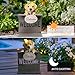 Garden Dog Statues with Solar Bird, Solar Labrador Puppy Statue with Welcome Fence Base Outdoor Sculptures Garden Decorations for Patio, Lawn, Yard, Housewarming Gifts for Mom Women Grandma