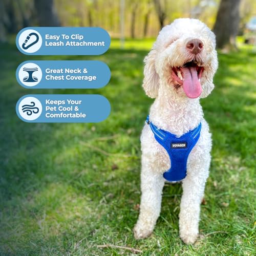 Image of Best Pet Supplies Voyager Adjustable Step-in Flex Breathable Mesh Dog Harness for Small Medium Large Dogs Leash Set (Royal Blue), L