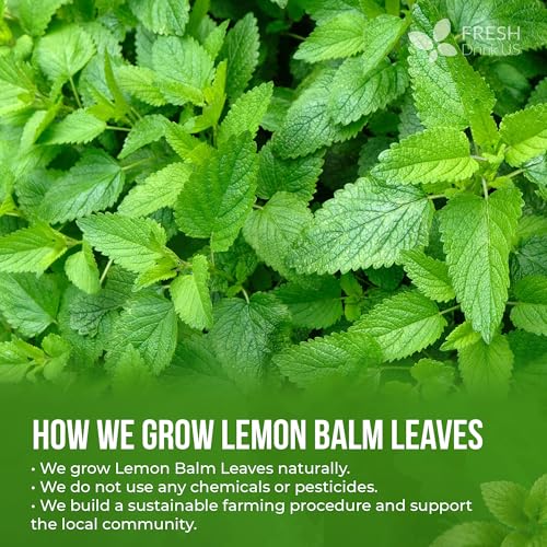 Image of FreshDrinkUS, Premium 8 oz Lemon Balm Powder, 100% Natural & Pure, Herbal Tea, Daily Infusion Botanical, No Sugar, No Caffeine, No Gluten, Vegan.