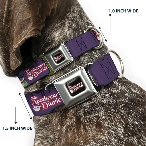 Collier chien boucle sécurité métal Crunchyroll Les Carnets Apothicaire