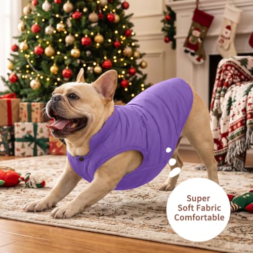 Image of JoyDaog Fleece Lined Dog Jacket for Small Dogs,Winter Dog Coat,Purple S | Warm Windproof Puppy Vest for Cold Weather,Soft Cozy Doggie Clothes for Smaller Dog Breeds,Outdoor Daily Walk,Snow Play
