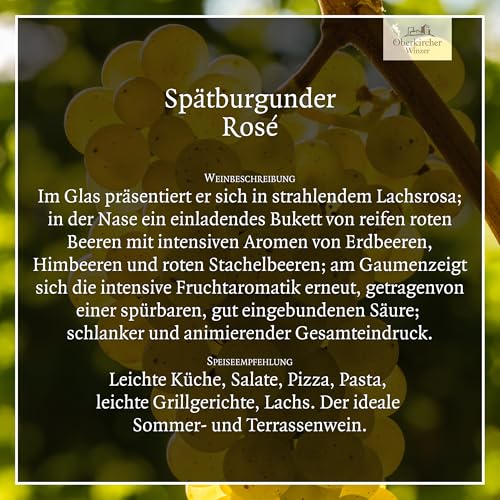 Oberkircher Winzer Wein-Probierpaket - GENUSSWEINE - Spätburgunder Blanc de Noir Weißwein trocken, Spätburgunder Rosé trocken & Merlot-Spätburgunder Rotwein halbtrocken (3 x 0,75l)
