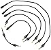 Autolite 96934 Spark Plug Wire Set