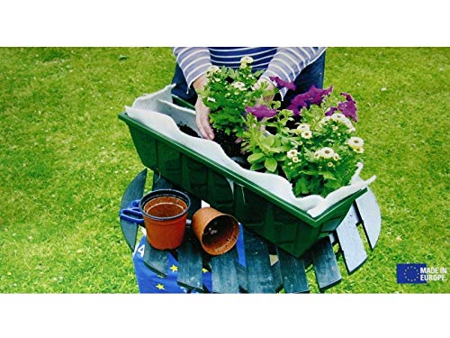 Plantex - Lona de protección para plantas, 0,6 x 2,4 m, Hydromax Annafia Riga