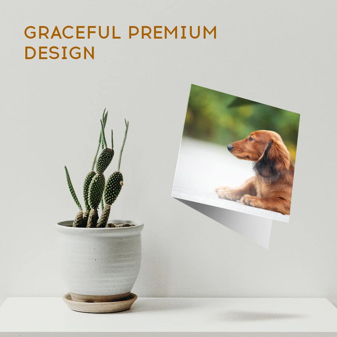 Carte De Vœux Vierge Avec Imprimé Chiens Teckels Mignons