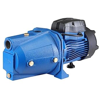 Foto di Bakaji Elettropompa Autodescante per Autoclave Periferica Potenza 1 HP (750W) Pompa Motore in Rame Girante in Acciaio Inopx Albero in Acciaio al Carbonio e Corpo in Ghisa Portata Massima 50L/min