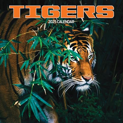 Tiger 2025 Calendar, Various