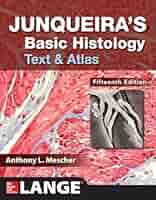 JUNQUEIRA’S Basic Histology TEXT&ATLAS Junqueira's Basic Histology: Text and Atlas, Sixteenth