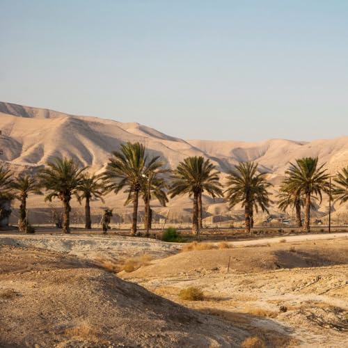 Le d&eacute;sert, lieu de croissance spirituelle