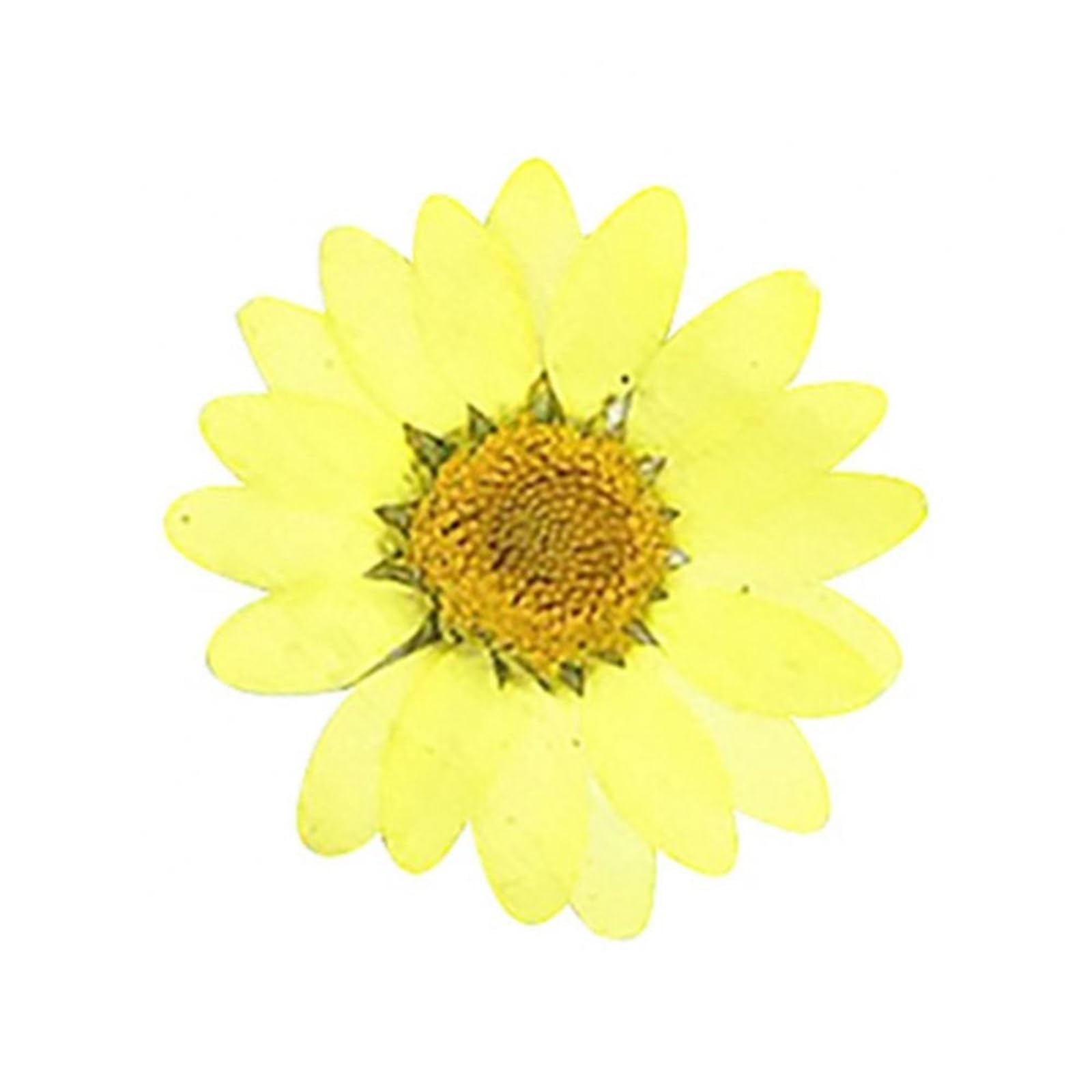 Fiori secchi pressati, Fiori pressati secchi resina epossidica fai da te 36 pezzi fiori naturali pressati secchi decorazione del telefono artigianale for unghie petali secchi naturali(Yellow)