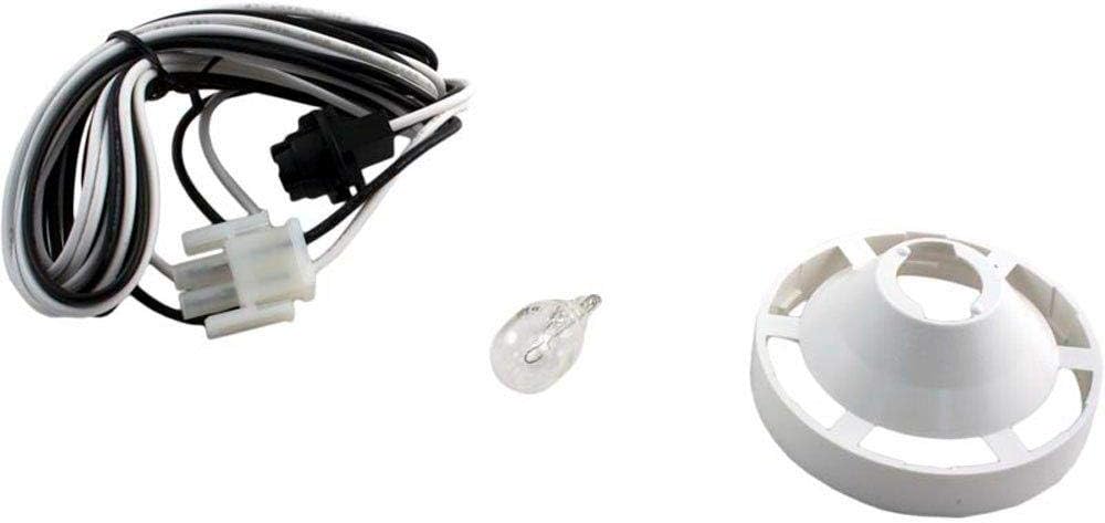 Balboa 10' Spa Light Assembly without Lens 21089