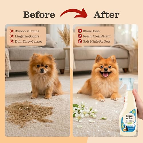 Image of Pet Stain & Odor Remover Spray, enzyme cleaner for dog urine & poop carpet | Upholstery & Fabrics - Eliminates Cat Pee, Feces, Vomit & Tough Stains, Eco-Friendly, Vegan, Citrus Scent