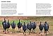 How Birds Live Together: Colonies and Communities in the Avian World