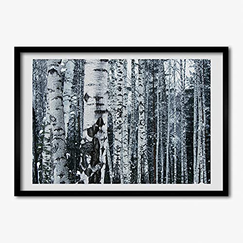 Cadre photo bouleaux 70x50 cm pour habiller un mur vide