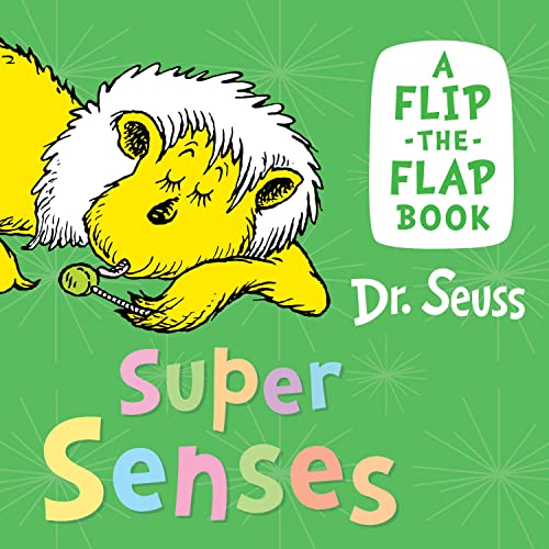 childrens sense sensation books
