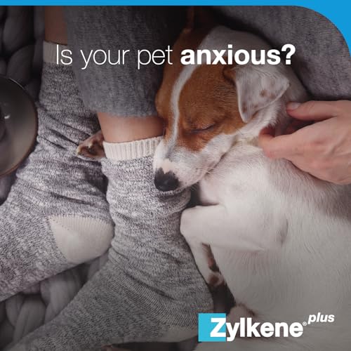 Zylkene Plus Calming Supplement for Medium Dogs (10kg-30kg) 225mg, Green Capsule - Image 3