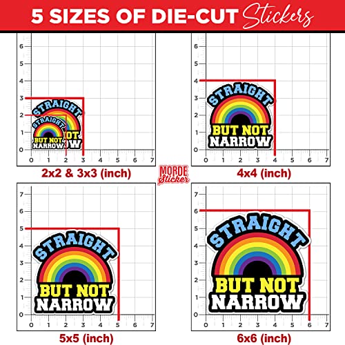 Straight But Not Narrow Sticker Lgbt Pride Trans Rainbow Die-Cut Waterproof Vinyl Sticker For Laptop Water Bottle Phone Case Cars Merchandise Decor Decal Stuff Gift Idea For Her Him Adults Kid #TOP4