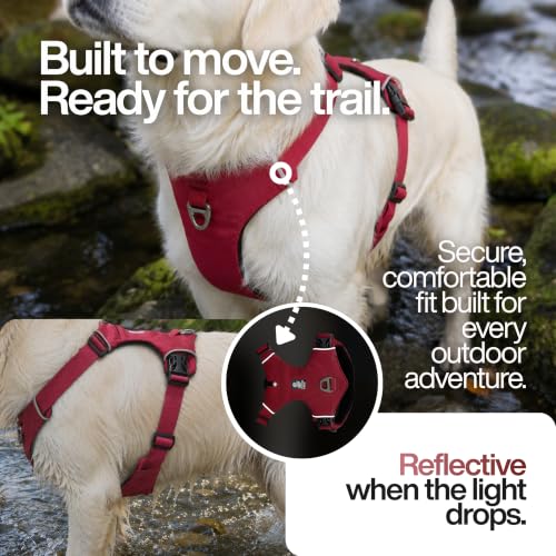 Guardian No Pull Dog Harness, Escape Proof (Maroon, Medium) - Image 5
