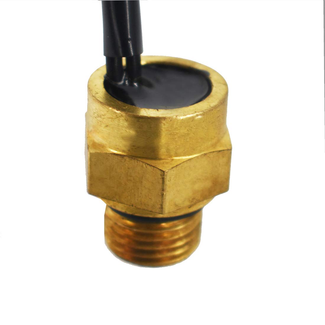 Lupin Gallery Mix | Lupin Seeds | Flower Seeds By Mr Fothergills