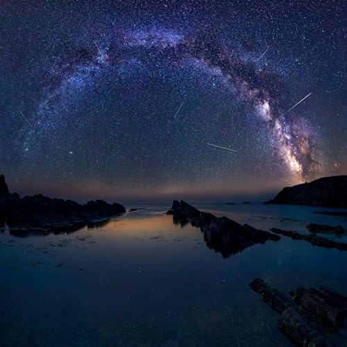 Behind the Scenes Episode Thirteen: Disorder