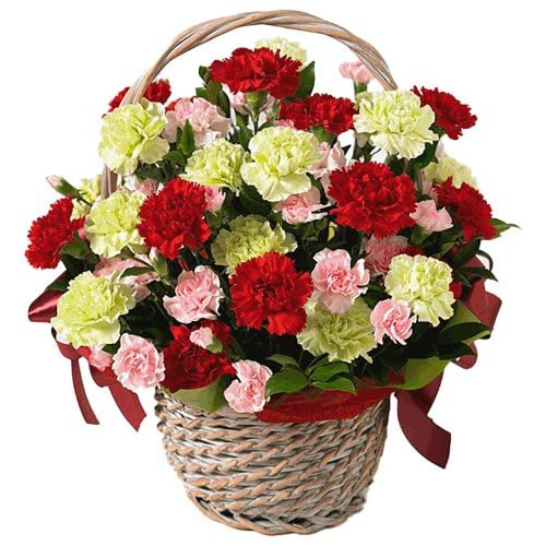FLORANET Love Mix N Carnation Basket For Anniversary, Birthday, Wedding, Mothers Day, Congratulations (Same Day Delivery) - 15 Assorted Carnations-image-45