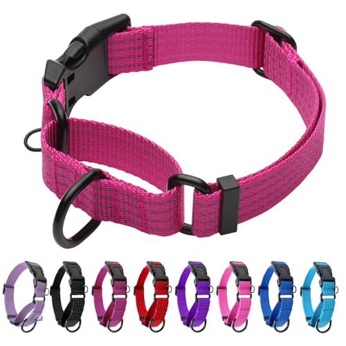 Image of Martingale Dog Collar, Reflective No Pull with Buckle, Hot Pink, S | Escape Proof without choking ,Training Collar with Quick Release Buckle, Adjustable Heavy Duty Nylon collars for S M L Dogs