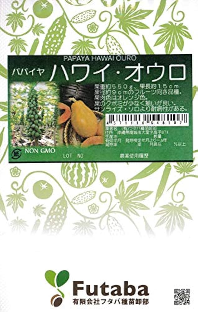 パパイヤ(パパイヤ)　種　4000粒　沖縄県産　無農薬 パパイヤ(パパイヤ) 種 4000粒 沖縄県産 無農薬