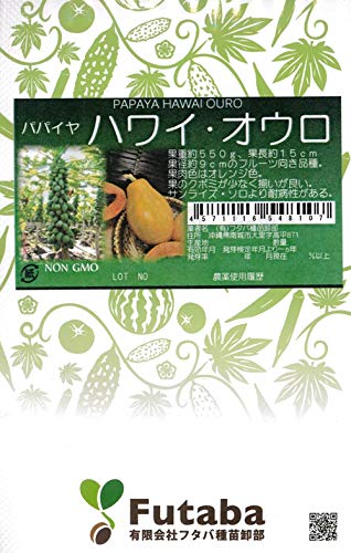 パパイヤ(パパイヤ)　種　4000粒　沖縄県産　無農薬 無農薬フルーツパパイヤ | 1kg以上(2~4玉入) / 沖永良部島産