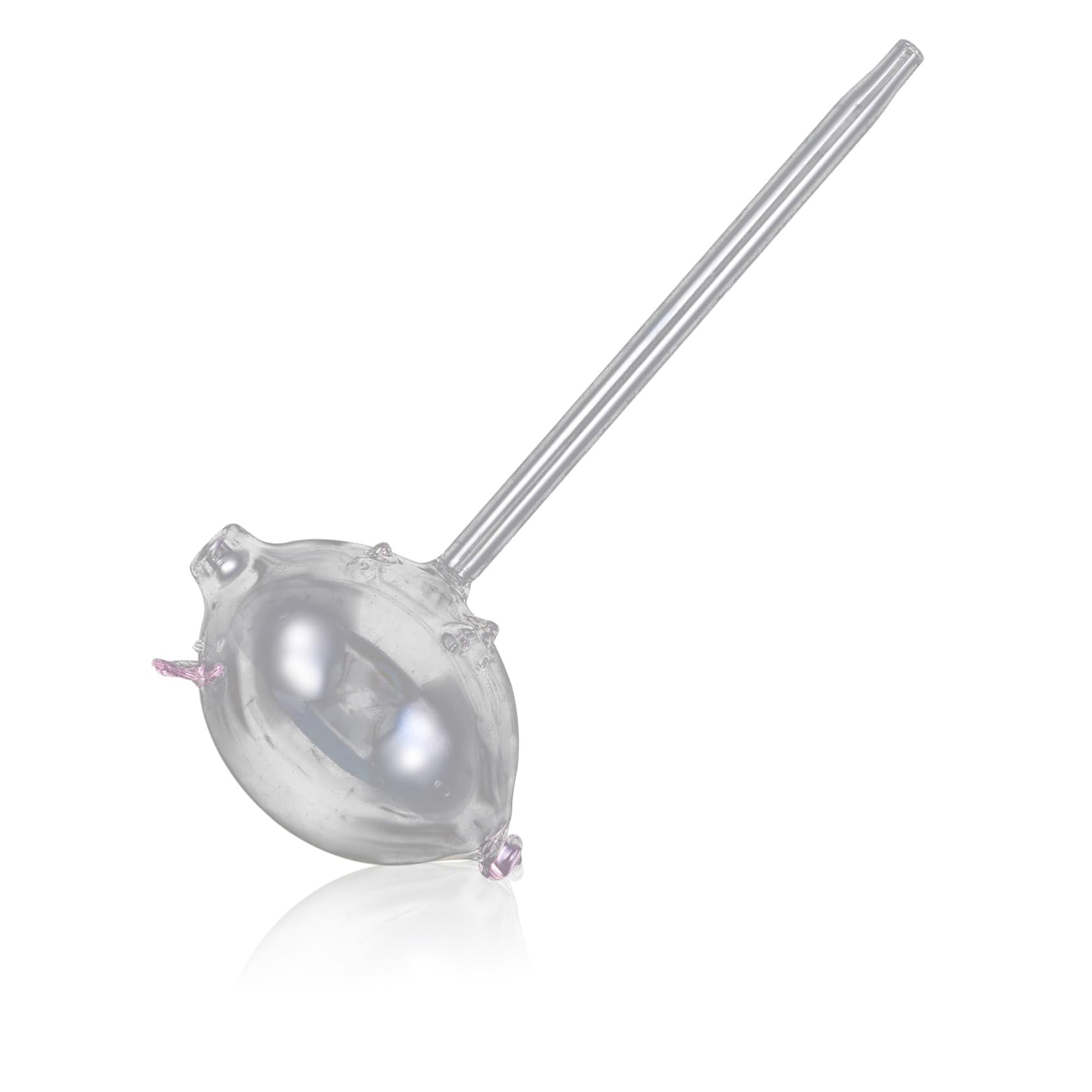 Toyvian 4 Pezzi Irrigatore per Piante Dispositivo Innaffiatura Trasparente Forma per Giardinaggio e Piante