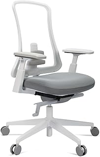 ErgoChair Pro 2.0