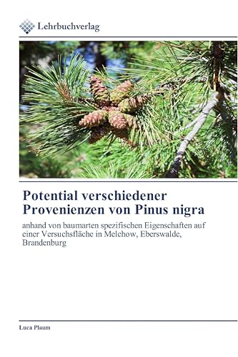 Potential verschiedener Provenienzen von Pinus nigra: anhand von baumarten spezifischen Eigenschaften auf einer Versuchsfläche in Melchow, Eberswalde, Brandenburg