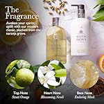 Molton Brown Orange & Bergamot Bath & Shower Gel 300 ml - Image 3