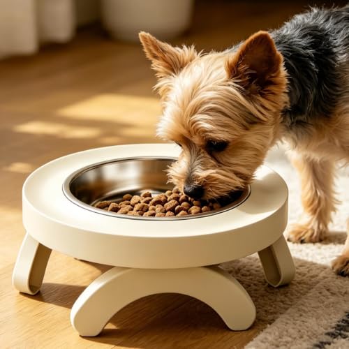 Gamelle surélevée pour chat et gamelle d'eau surélevée pour chien maison - 7