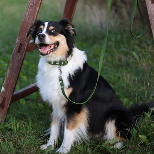 BURA 2,2m für Hunde Hundeleine Große Hunde, Leicht und Handlich, Verformt Sich Nicht, Langlebig, Wasserdicht, Nicht Allergen (grün, M)