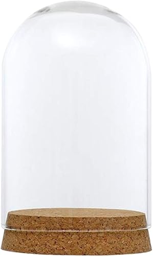 Miniatura 5 de FLAMEER 10 piezas de 3.1x4.7 in cubierta de cúpula de cristal transparente Cloche Bell Jar Suculenta Terrarios con base de corcho de madera