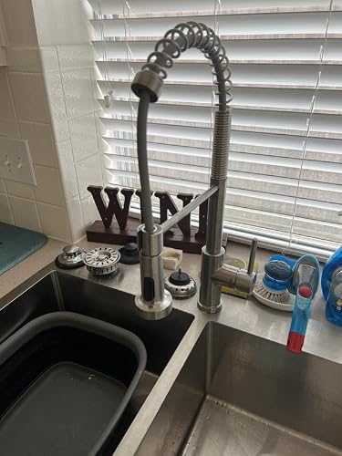 Glacier Bay Paulina Single-Handle Spring Neck Pull Down Sprayer Kitchen Faucet in Stainless Steel
