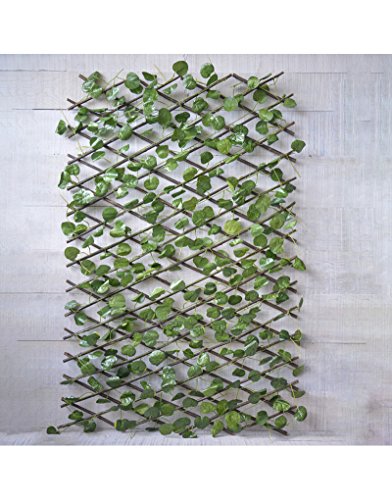 Hogar y Mas Jardin Vertical, celosia Extensible Hiedra Artificial con Estructura de Madera Natural para Decoración Realista.