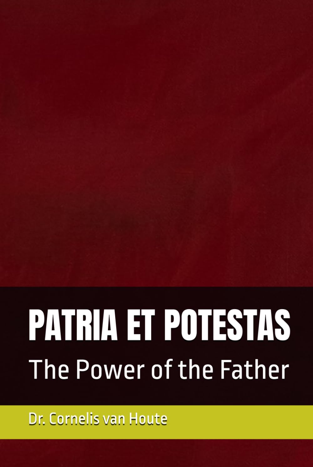 PATRIA ET POTESTAS: The Power of the Father (Roman Law Series)