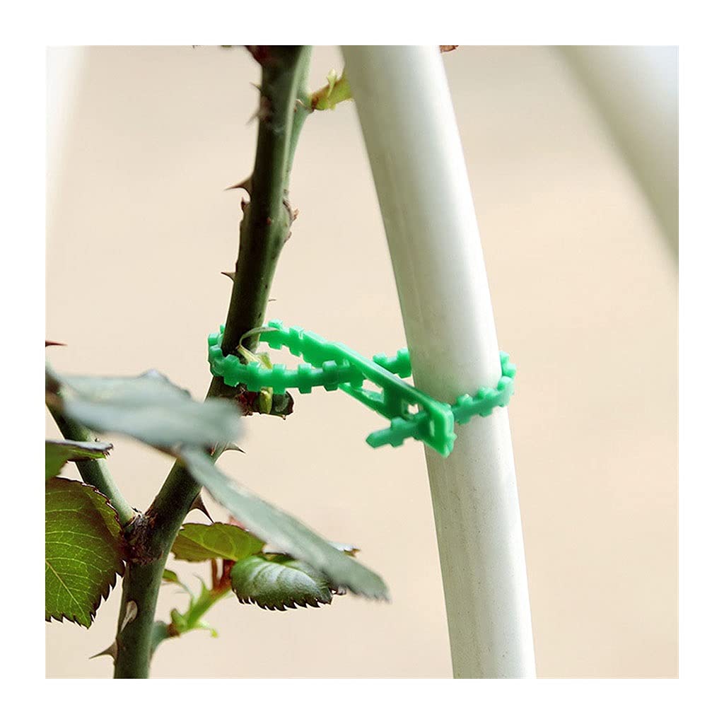 Weitingkkk One Color Plant Ties, Pack Of 100 Nylon Plastic Garden Cable Ties For Plants, Shrubs, Trees, Multiple Sizes(23Cm)