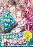 離婚予定日、極上社長は契約妻を甘く堕とす (ベリーズ文庫)