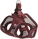 Hundegeschirr - hundegeschirr kleine Hunde - XXS - Flamingo Harness Step&Go Bento Aubergine