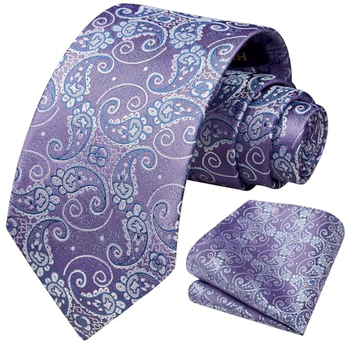 Image of HISDERN Ties for Men Paisley Tie and Pocket Square Woven Classic Floral Mens Ties Handkerchief Set Wedding Party Necktie