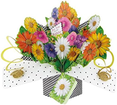 Fleurs Second Nature Pop Ups Carte D Anniversaire Avec Inscription Pour Vous Sur Votre Anniversaire Amazon Fr Fournitures De Bureau Fleurs Second Nature Pop Ups Carte D Anniversaire Avec Inscription Pour Vous Sur Votre Anniversaire Amazon Fr Fournitures De Bureau