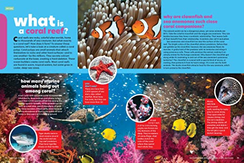 Popular Science Kids: The Giant Book of Who, What, When, Where, Why & How: 1,001 Fascinating Facts f