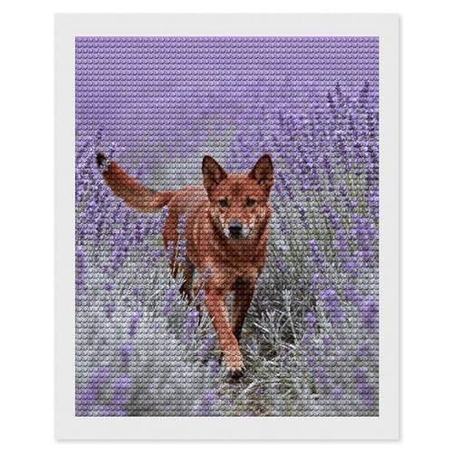 Kit d'art diamant dingo maccbn avec strass ronds premium pour adultes